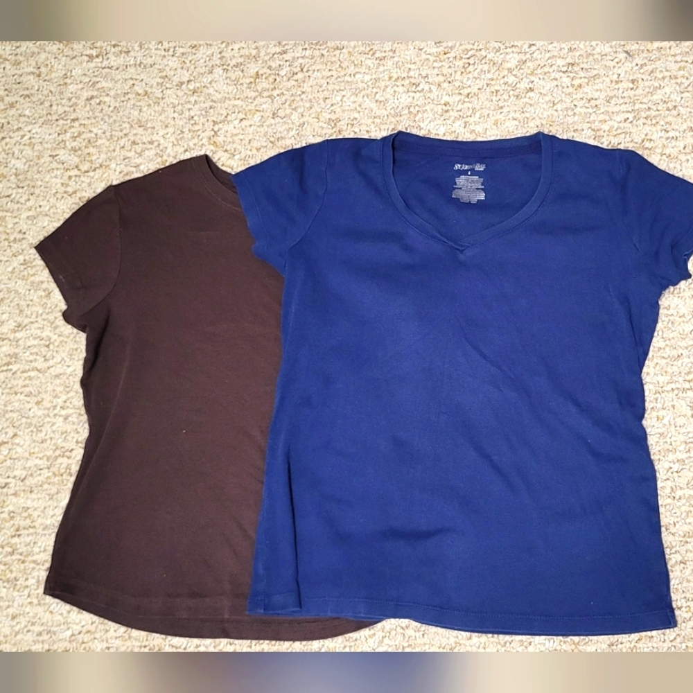 Set Of Two- Brown And Blue Women's T-shirts